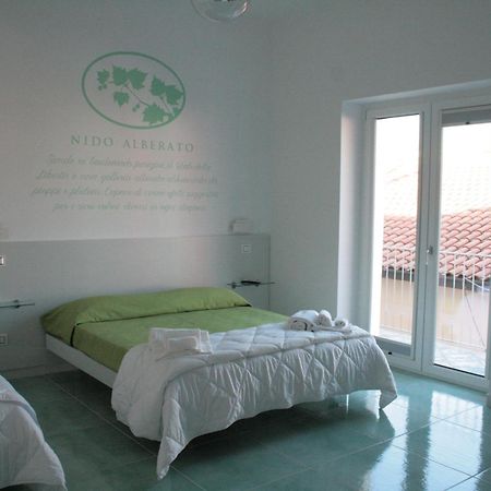 Bed and Breakfast Praja Vecchia Praia a Mare Exteriér fotografie